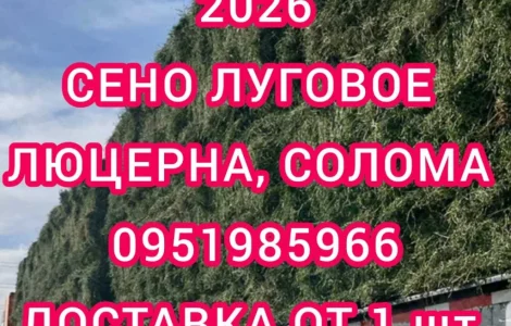 Продам сено люцерны, луговое в тюках. Большой объём. Доставка бесплатная