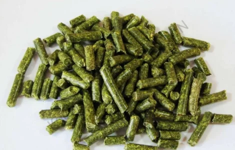 Польская фирма AgroTorg Sp. z o.o. закупает люцерну гранулированную на ЭКСПОРТ