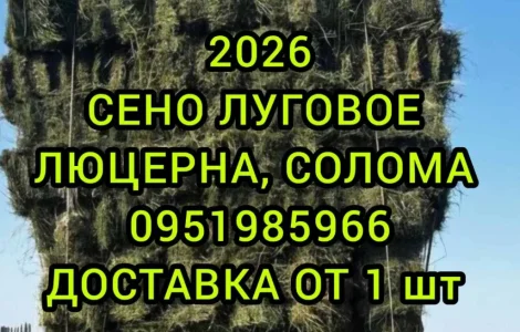 На подстилку собакам в будку сено солома в тюках мешках, доставка от 1 шт, сіно для корма