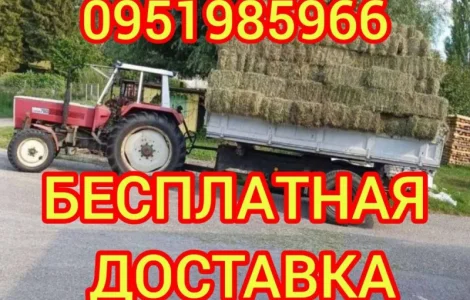 Продажа сена для лошадей, овец, коз, КРС с доставкой