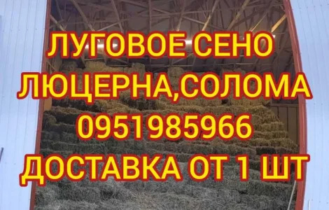 Продаж сіна для коней, овець, кіз, ВРХ з доставкою