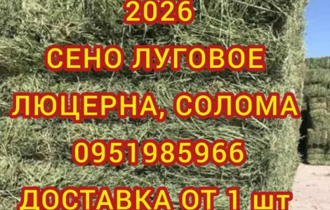 Оптовая продажа лугового сена, люцерны с доставкой по Украине