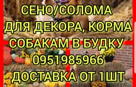 Люцерна, луговое сено, солома в тюках мешках. Доставка. Объёмы