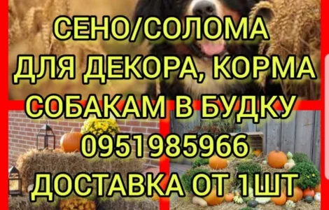 Сено в тюках мешках, солома в тюках мешках. Для корма, на подстилку