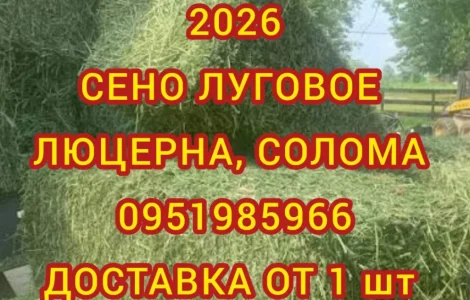 Сено в тюках мешках, солома в тюках мешках. Для корма, на подстилку