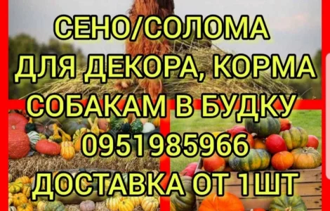 Бесплатная доставка по Украине. Луговое, люцерна, солома в тюках мешках
