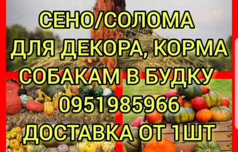 Безкоштовна доставка по Україні. Лугове, люцерна, солома в тюках мішках