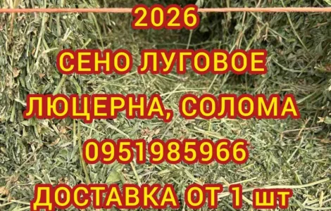Безкоштовна доставка по Україні. Лугове, люцерна, солома в тюках мішках