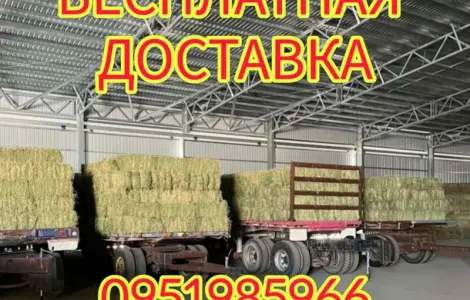 БЕЗКОШТОВНА доставка сіна лугового, люцерни, соломи в тюках