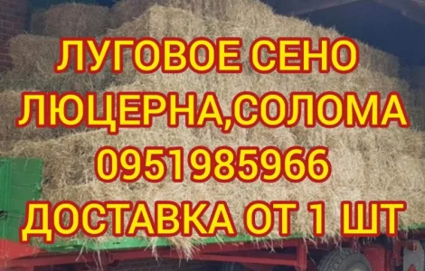 БЕЗКОШТОВНА доставка сіна лугового, люцерни, соломи в тюках