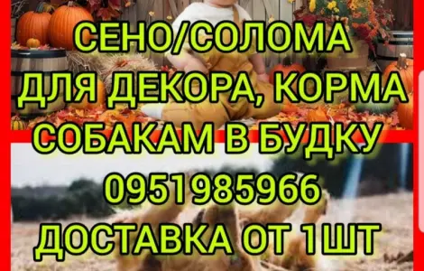 Собакам в вольер сено в тюках, солома в мешках. Доставка от одной штуки