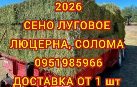 Собакам в вольер сено в тюках, солома в мешках. Доставка от одной штуки
