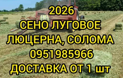 Сено лугове різнотрав'я, сіно люцерни з доставкою