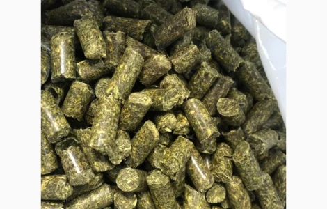 Продам Люцерна Гранульована