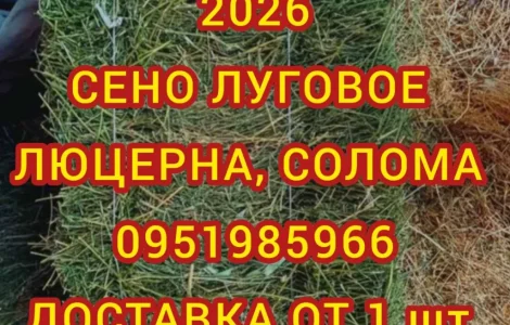 Продажа сена различных видов в тюках мешках