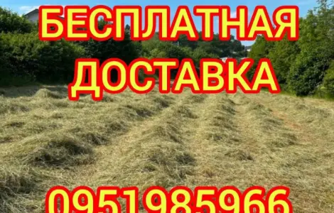 СЕНО в тюках. Великі обсяги. Лугове, люцерна, солома в тюках з безкоштовною доставкою