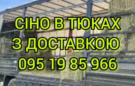 СЕНО в тюках. Великі обсяги. Лугове, люцерна, солома в тюках з безкоштовною доставкою