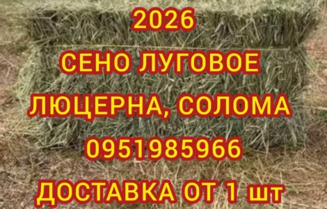 Сено, солома з безкоштовною доставкою по Україні. У тюках, мішках. Поштучно / опт