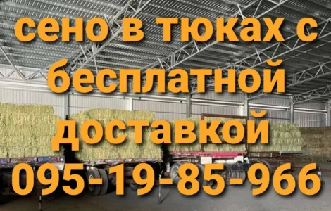 Есть в наличии! Большие объёмы. Сено люцерны, луговое, солома. Бесплатная доставка