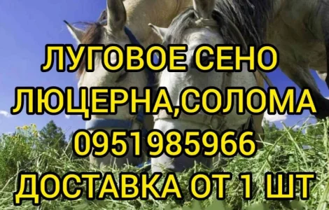 Есть в наличии! Большие объёмы. Сено люцерны, луговое, солома. Бесплатная доставка