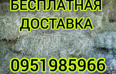 Продаж сіна (лугове, люцерна), солома в тюках, мішках