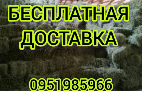 ЛЮЦЕРНА в тюках с бесплатной доставкой. Есть б.н. Объёмы. Качество