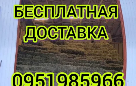 Сено люцерны в тюках. Бесплатная доставка по Украине. Объёмы