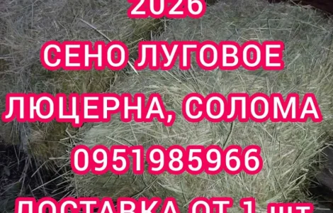 Сено люцерни в тюках. Безкоштовна доставка по Україні. Об'єми