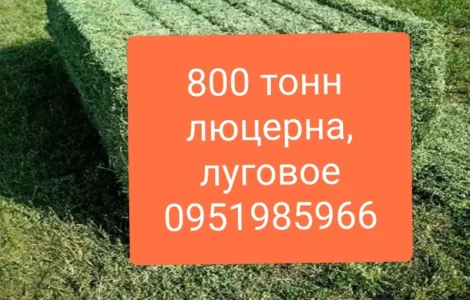 СЕНО для КРС, лошадей, овец. Доставка бесплатная по Украине. Есть б.н. расчёт