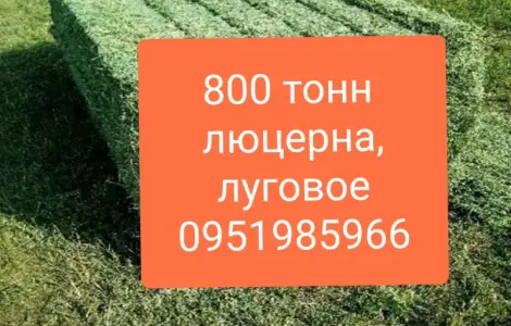 СЕНО для КРС, лошадей, овец. Доставка бесплатная по Украине. Есть б.н. расчёт