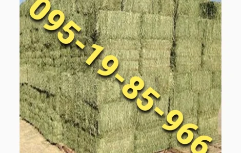 Сено в тюках с бесплатной доставкой по Украине. Большие объёмы