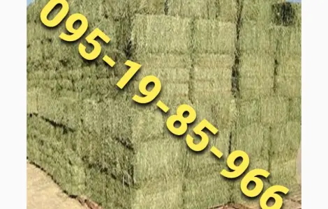 Сено в тюках з безкоштовною доставкою по Україні. Великі обсяги