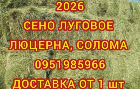 Сено в тюках з безкоштовною доставкою по Україні. Великі обсяги