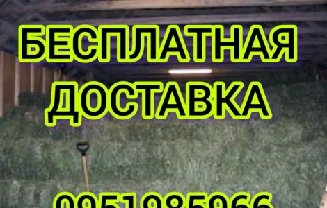 Сено люцерны, луговое в больших объемах с доставкой. Форма оплаты любая. Доступные цены