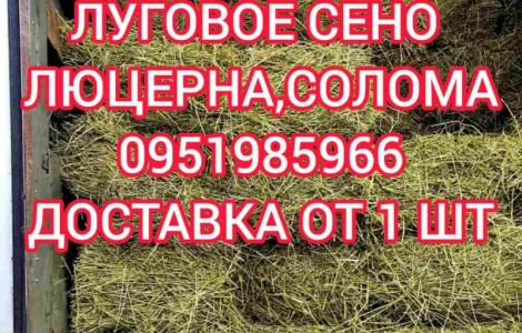 Сено люцерны, луговое в больших объемах с доставкой. Форма оплаты любая. Доступные цены