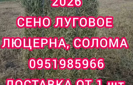Люцерна в тюках, 800т. Доставка по Україні безкоштовно