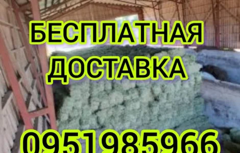 Продам луговое сено в тюках, люцерну, солому из зерновых с доставкой на дом