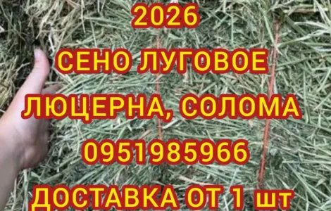Сіно лугове, Сіно люцерни. Доставка. Обсяги. Якість