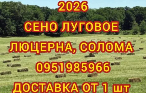 Продам лугове сіно. Сіно люцерни в тюках. Доставка включена в вартість