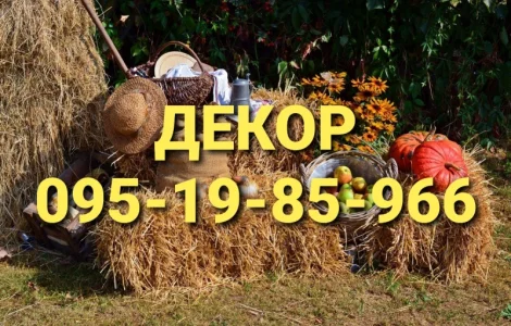 Сено солома сіно для декора в тюках мешках с доставкой