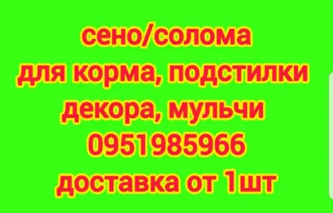 Люцерна, лугове сіно в тюках. Безкоштовна доставка