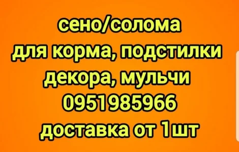 Сено для сільгосптварин з БЕЗКОШТОВНОЮ доставкою. Лугове, люцерна, солома