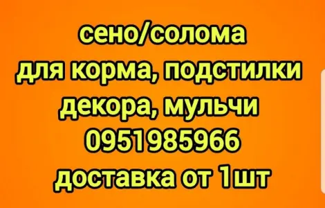 Сено для сільгосптварин з БЕЗКОШТОВНОЮ доставкою. Лугове, люцерна, солома