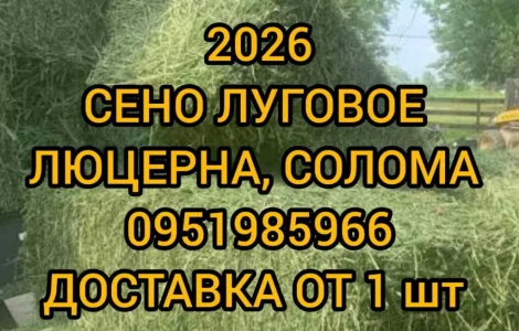 Сено для сільгосптварин з БЕЗКОШТОВНОЮ доставкою. Лугове, люцерна, солома