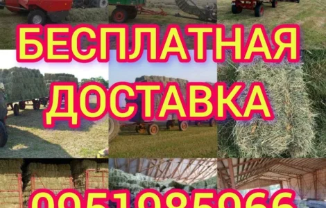 Люцерна, луговое сіно сено в тюках с бесплатной доставкой. Форма оплаты любая