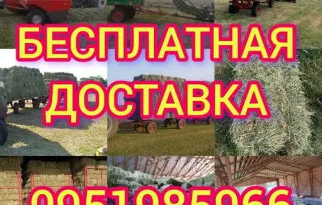 Люцерна, луговое сено сено в тюках с бесплатной доставкой. Форма оплаты любая