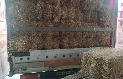 Сіно в тюках лугове різнотравя. Урожай 2022 року