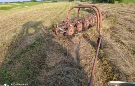 Сено в тюках луговое разнотравье.2022 года. Доставим