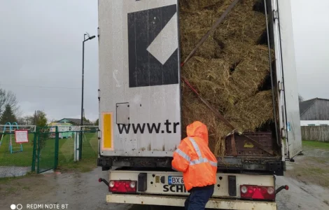 Сено лугове 2022 року. Доставка по Рівненській області