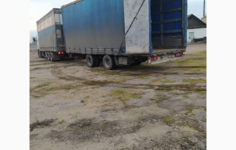 Сено лугове, урожай 2022 року в тюках